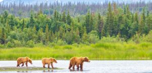 National Parks In Alaska