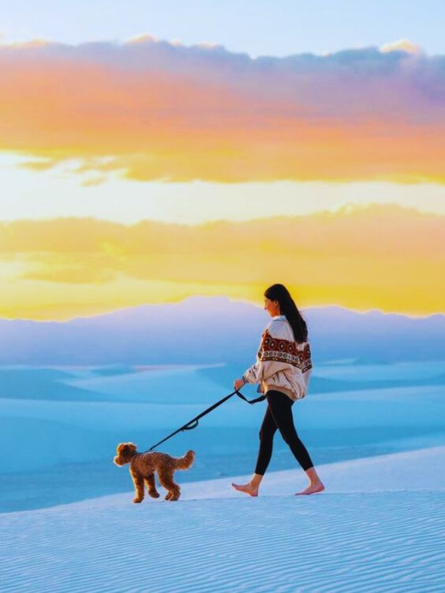 Top 5 White Sand National Parks In The World